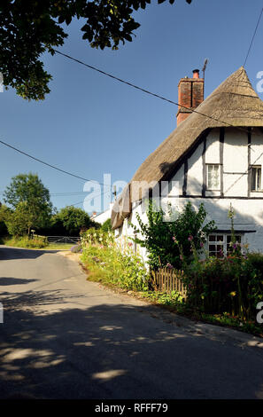 Am Straßenrand strohgedeckten Hütten in der Wiltshire Dorf Clyffe Pypard. Stockfoto