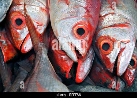 Red Eyed Fische am zentralen nassen Markt in Puerto Princesa City, Provinz Palawan, Philippinen Stockfoto