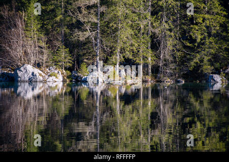 Ufer von See Hintersee im Morgen Stockfoto