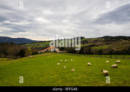 Typisch baskische Bauernhaus mit Schafe an einem bewölkten Tag, Baskenland, Spanien Stockfoto