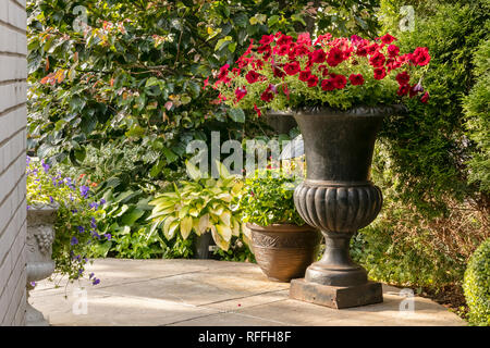 Garten Weg mit großen Urne des roten Blüten. Stockfoto