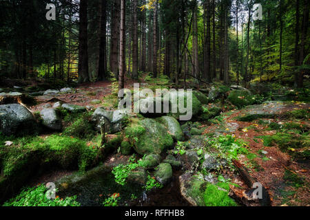Es ist ein kleine Bucht mit bemoosten Felsen in der ruhigen Landschaft der Berge Wald, Riesengebirge, Sudeten, Polen. Stockfoto