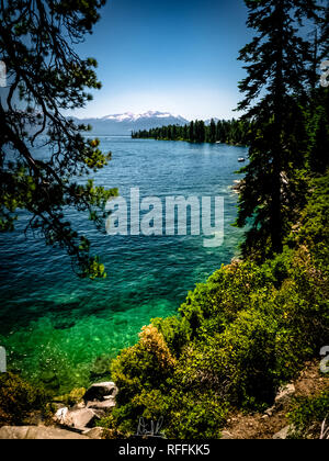 Der smaragdgrünen Wasser des Lake Tahoe durch das Laub gesehen Stockfoto