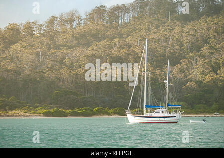 Cockle Cove, Tasmanien, Australien Stockfoto