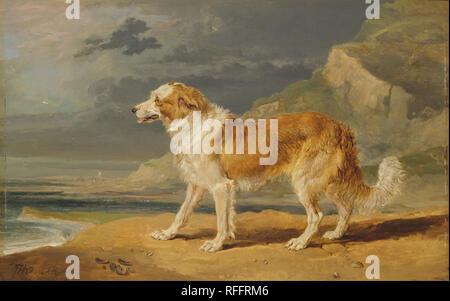 Rough-Coated Collie. Datum/Zeitraum: 1809. Malerei. Öl an Bord. Höhe: 254 mm (10 in.); Breite: 406 mm (15.98 in). Autor: James Ward. Stockfoto