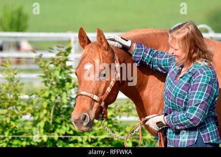 Frau mit American Quarter Horse, Stute, sorrell Stockfoto