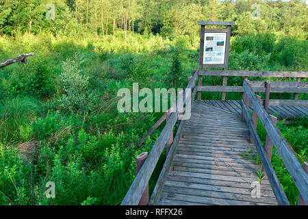 Ortel Marsh, Rheinland-Pfalz, Hunsrück, Deutschland Stockfoto