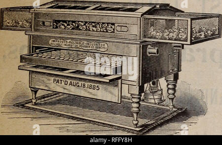 . Garten, Hof und Geflügel jährliche: Samen, Knollen, Werkzeuge, Düngemittel, Insektizide, Geflügel, etc.. Baumschulen Missouri Sedalia Kataloge; Blumen Samen Samen Kataloge Kataloge; Gemüse; Geflügel Ausrüstungen und Zubehör Kataloge; Gartengeräte und Zubehör Kataloge. Beim Schreiben von Inserenten, erwähnen Sie ARCHIAS" SAME STORE. Der großartige Sieg.. Mit dem Wettbewerb der Welt, der zuverlässige und Inkubator Brutapparat Co,^ gewann den Grand Prize es der Pariser Weltausstellung, 1900, etwas weit voraus gewann überhaupt von keinem anderen Inkubator Unternehmen und gleich den Hauptpreis von der zuverlässigen In gewonnen Stockfoto