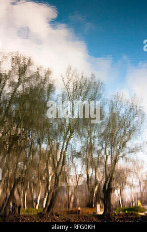 Blurry Natur, park Bäume und Himmel mit Wolken in Fluss Gewässer wider Stockfoto