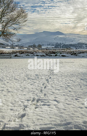 Spuren scheinbar zu Pen y Fan im Brecon Beacons National Park. Stockfoto