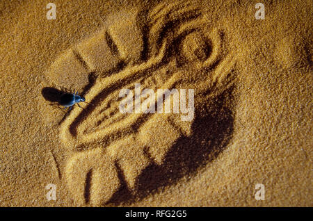 Schuhputzmaschine Impressum mit Insekt in den Dünen der algerischen Sahara, Afrika, Tassili N'Ajjer Nationalpark Stockfoto