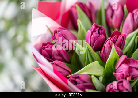 Blumensträuße von Violett Tulpen. Frühling Blumen aus dem niederländischen Gärtner. Konzept der Floristen in einem Blumenladen. Tapete. Stockfoto