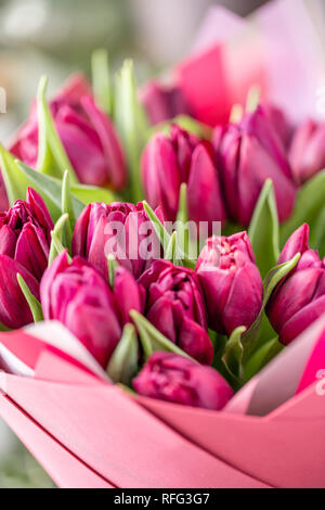 Blumensträuße von Violett Tulpen. Frühling Blumen aus dem niederländischen Gärtner. Konzept der Floristen in einem Blumenladen. Tapete. Stockfoto