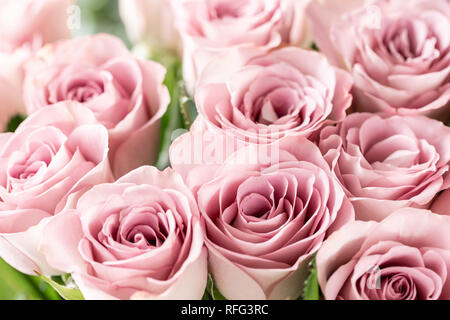 Rosa Rosen in Glasvase. Bündel Pastelltönen. Das Konzept der Floristen in einem Blumenladen. Tapete. Stockfoto