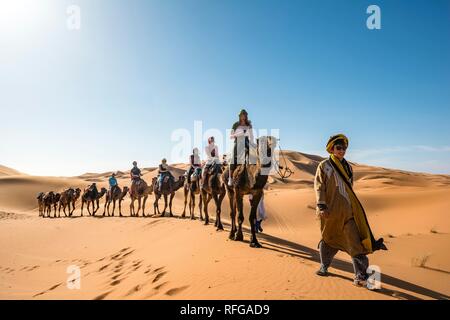 Wohnwagen mit dromedare (Camelus dromedarius), Sanddünen in der Wüste Erg Chebbi, Merzouga, Sahara, Marokko Stockfoto