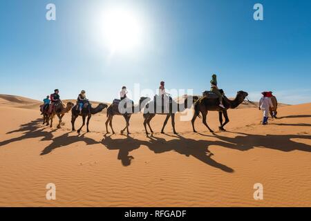 Wohnwagen mit Dromedar (Camelus dromedarius), Schatten auf Sanddünen in der Wüste Erg Chebbi, Merzouga, Sahara, Marokko Stockfoto