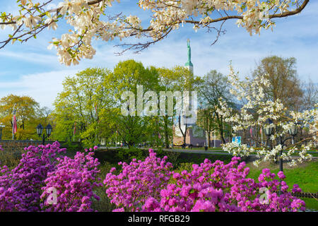 Nationalen lettischen Freiheitsdenkmal im Zentrum von Riga im Frühjahr vor dem Hintergrund von bunten Blumen im Park Stockfoto