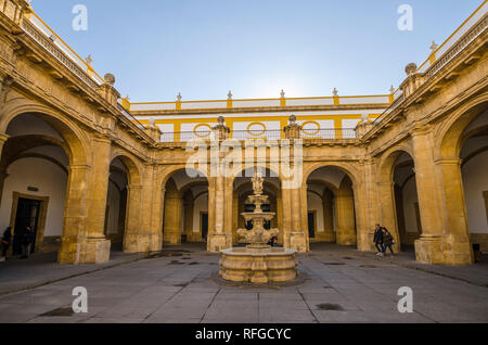 Sevilla Spanien, im Innenhof der Universität von Sevilla, Andalusien, Spanien. Stockfoto