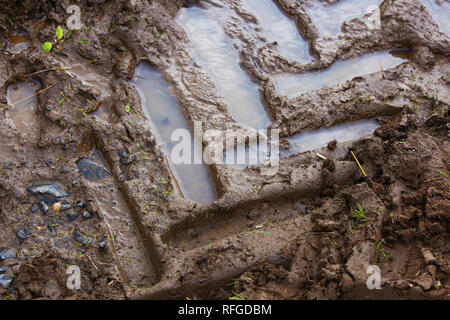 Traktorspuren im Schlamm Stockfoto