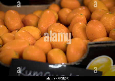 Der Blick von oben auf die Bündel frische Kumquats auf dem Bio-markt. Stockfoto