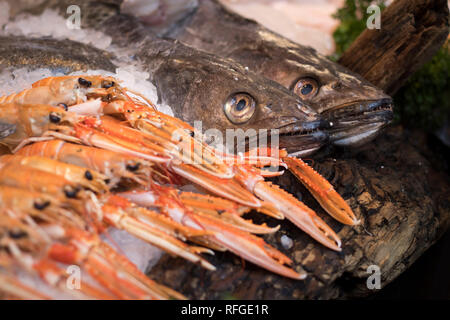 Frisch Scampi auf Eis bei einem fischhändler im Londoner Borough Markt gefangen. Stockfoto