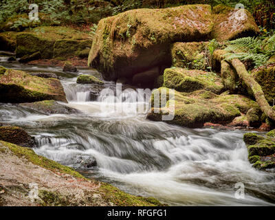 Golitha Falls auf dem Fluss, in der Nähe von Fowey Liskeard in Cornwall, UK. Stockfoto