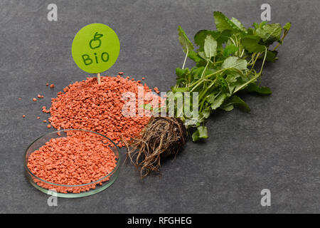 Mineral chemische Dünger in soli Betrieb helfen, zu wachsen Stockfoto