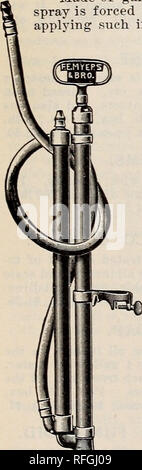 . Thorburn's Samen: 1900. Baumschulen New York (State) Kataloge Kataloge; Samen; Gemüse; Blumen Samen Samen Kataloge Kataloge. . Bitte beachten Sie, dass diese Bilder sind von der gescannten Seite Bilder, die digital für die Lesbarkeit verbessert haben mögen - Färbung und Aussehen dieser Abbildungen können nicht perfekt dem Original ähneln. extrahiert. J. M. Thorburn &Amp; Co; Henry G. Gilbert Baumschule und Saatgut Handel Katalog Kollektion. New York: J. M. Thorburn &Amp; Co. Stockfoto