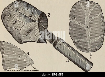 . Jährliche beschreibenden Katalog und Kalender. Baumschulen Connecticut New Haven Kataloge; Gemüse Samen Samen Kataloge Kataloge; Blumen; Pflanzen, Zierpflanzen Kataloge; Gartengeräte und Zubehör Kataloge. Wasser' 5 VERBESSERTE BAUM GARTENSCHERE. Der kleine Raum zum Arbeiten das Messer ermöglicht es unter schließen, dichten Zweigen, wo große Schwierigkeiten bei der Verwendung der alten Schere gefunden wird, verwendet werden. Für Baum-, Reb-, Himbeere, Brombeere und Rosenstöcken ist es erwiesen hat besonders gewartet werden. Für das Entfernen der Nester Würmer und Ausdünnung Früchte es sehr wünschenswert ist, und kann als Frucht picke verwendet werden. Stockfoto