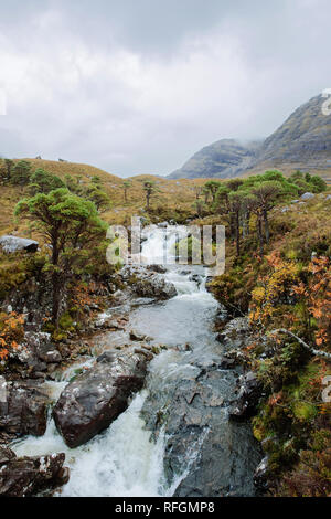 Ein Blick auf die Allt Bottighofen Rooill den Fluss und die umliegende Landschaft in der nähe von Torridon, Schottland Stockfoto