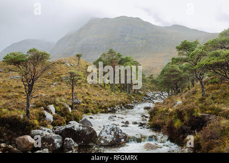 Ein Blick auf die Allt Bottighofen Rooill den Fluss und die umliegende Landschaft in der nähe von Torridon, Schottland Stockfoto