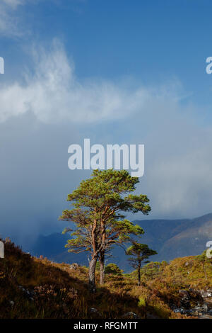 Die Allt Bottighofen Rooill River in der nähe von Torridon Stockfoto