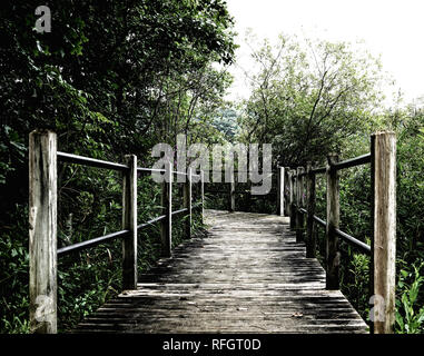 Trail, Promenade von alten Holzböden über den See. Stockfoto