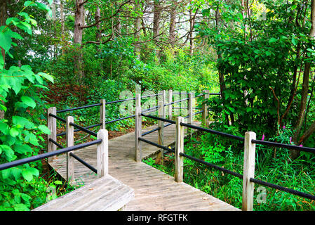 Signalweg, der Promenade von alten Holzböden in einem Park von Michigan in der Nähe der See über Gras Stockfoto