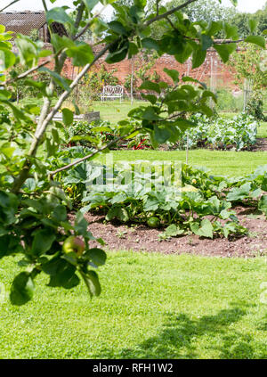 Gemüse Garten Stockfoto