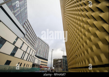 Glasgow, Schottland, Großbritannien. 25. Januar 2019. Verschiedene Szenen mit verschiedenen Ansichten um von der Queen Elizabeth University Hospital. Es wurden 2 Patienten Todesfälle berichtete vor kurzem, die es geglaubt wird, sind Infektionen durch Taubenkot vertraglich verbunden. Credit: Colin Fisher/Alamy leben Nachrichten Stockfoto