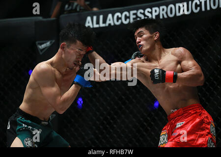 Pasay City, Philippinen. 25 Jan, 2019. Danny Kingad der Philippinen (R) konkurriert gegen Tatsumitsu Wada von Japan während ihrer Fliegengewicht Match in der Meisterschaft in Pasay City, Philippinen, Jan. 25, 2019. Kingad gewann über einstimmige Entscheidung. Credit: rouelle Umali/Xinhua/Alamy leben Nachrichten Stockfoto