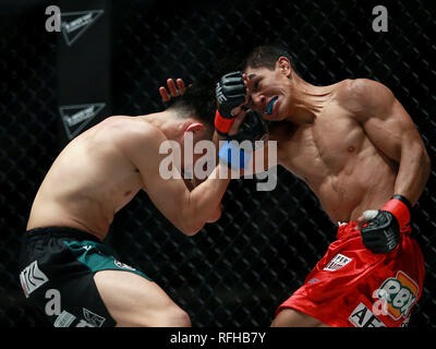 Pasay City, Philippinen. 25 Jan, 2019. Danny Kingad der Philippinen (R) konkurriert gegen Tatsumitsu Wada von Japan während ihrer Fliegengewicht Match in der Meisterschaft in Pasay City, Philippinen, Jan. 25, 2019. Kingad gewann über einstimmige Entscheidung. Credit: rouelle Umali/Xinhua/Alamy leben Nachrichten Stockfoto