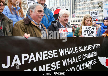 Central London, UK. 26. Jan 2019 - der ehemalige Außenminister Boris Johnson's Freundin Carrie Symonds (R) nimmt der Protest gegen den japanischen Walfang Demonstration in London zusammen mit Stanley Johnson (C). Hunderte von Demonstranten protestieren gegen den japanischen Walfang in Central London. Credit: Dinendra Haria/Alamy leben Nachrichten Stockfoto