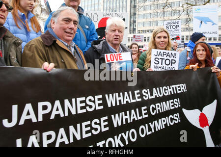 Central London, UK. 26. Jan 2019 - der ehemalige Außenminister Boris Johnson's Freundin Carrie Symonds (R) nimmt der Protest gegen den japanischen Walfang Demonstration in London zusammen mit Stanley Johnson (C). Hunderte von Demonstranten protestieren gegen den japanischen Walfang in Central London. Credit: Dinendra Haria/Alamy leben Nachrichten Stockfoto