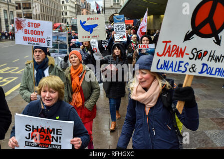 Piccadilly, London, UK. 26. Januar 2019. Protestmarsch in die Japanische Botschaft gegen die Entscheidung Japans von der Internationalen Walfangkommission (IWC) zurückziehen und den kommerziellen Walfang neu. Quelle: Matthew Chattle/Alamy leben Nachrichten Stockfoto