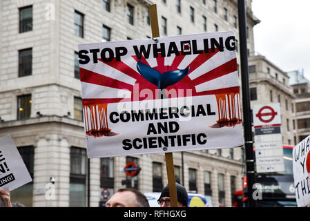 Piccadilly, London, UK. 26. Januar 2019. Protestmarsch in die Japanische Botschaft gegen die Entscheidung Japans von der Internationalen Walfangkommission (IWC) zurückziehen und den kommerziellen Walfang neu. Quelle: Matthew Chattle/Alamy leben Nachrichten Stockfoto