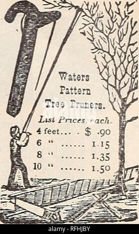 . Gemüse, Gras und Blumen Samen, 1900. Baumschulen, Massachusetts, Kataloge, Gemüse, Samen, Kataloge, Blüten, Samen, Kataloge, Gräser, Samen, Kataloge, Gartenarbeit, Ausrüstungen und Zubehör, Kataloge. . Bitte beachten Sie, dass diese Bilder sind von der gescannten Seite Bilder, die digital für die Lesbarkeit verbessert haben mögen - Färbung und Aussehen dieser Abbildungen können nicht perfekt dem Original ähneln. extrahiert. Ross Brüder; Henry G. Gilbert Baumschule und Saatgut Handel Katalog Kollektion. Worcester, Mass.: Ross Brüder Stockfoto