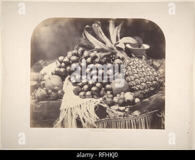 [Stillleben mit Obst]. Artist: Roger Fenton (British, 1819-1869). Abmessungen: 35,2 x 43,1 cm (13 7/8 x 16 15/16 in.) anbringen: 46,6 x 60,3 cm (18 3/8 x 23 3/4 in.). Datum: 1860. Als der Fotograf des British Museum von 1854 bis 1859, Fenton hatte reichlich Gelegenheit, seine Fähigkeiten fotografieren stationäre Objekte in verschiedenen Größen und Materialien zu entwickeln, von der antiken Büsten zu Skelette der Tiere und Vögel. 1860 begann er eine Reihe von über vierzig Stillleben mit Früchten und Blumen auf Marmor oder Gewebe angeordnet. Das Vorhandensein der gleichen Früchte, die in mehr als einem Bild deutet darauf hin, dass. Stockfoto