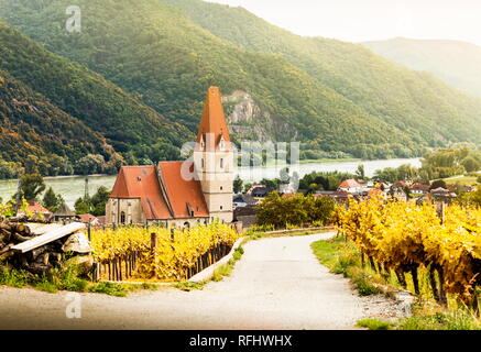 Herbst in Weissenkirchen und Weinberge an einem sonnigen Tag. Wachau. Österreich. Stockfoto