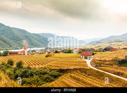 Herbst in Weissenkirchen und Weinberge an einem sonnigen Tag. Wachau. Österreich. Stockfoto