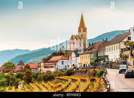 Herbst in Weissenkirchen und Weinberge an einem sonnigen Tag. Wachau. Österreich. Stockfoto