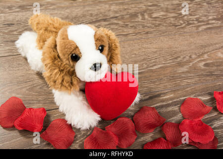 Eine nette Liebhaber valentine puppy dog mit roten Herzen Stockfoto
