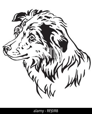 Dekorative Umrisse Portrait von Hund Border Collie im Profil, Vector Illustration in schwarzer Farbe auf weißem Hintergrund. Bild für das Design und die Tat Stock Vektor