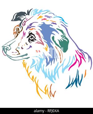 Bunt dekorativ Umrisse Portrait von Hund Border Collie suchen im Profil, Vector Illustration in verschiedenen Farben auf weißem Hintergrund. Ich Stock Vektor